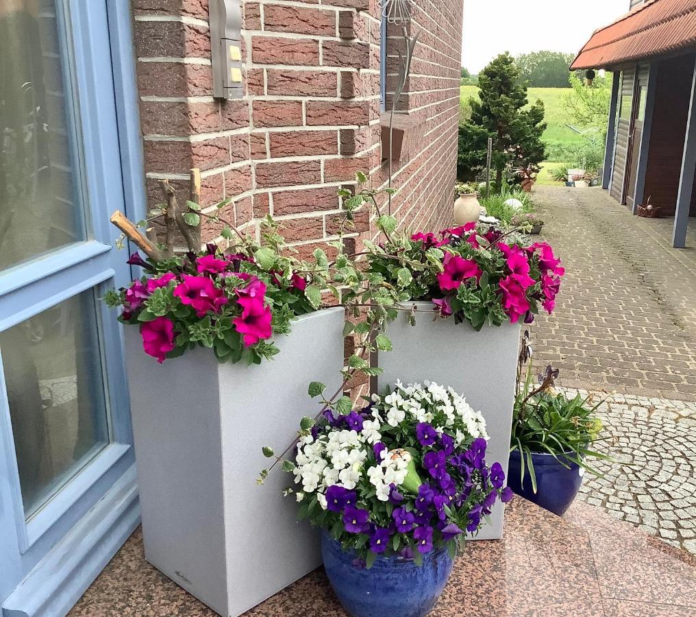Haus Rose Lejlighed Ribnitz-Damgarten Eksteriør billede